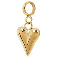 Ixxxi Connect Bedel Wild Heart | Goud