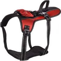 Flamingo Kelso - Harnas Honden - Harnas Kelso Rood Xl 54-84cm 25mm - 1st - 131679 - 1st