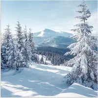 PosterMonkey Poster 75x75 cm - Winterlandschap - Natuur - Berg - Bomen - Sneeuw - Posters - Kamer decoratie - Wanddecoratie woonkamer - Muurdecoratie slaapkamer