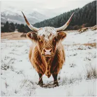 PosterMonkey Poster 30x30 cm - Schotse Hooglander - Landschap - Sneeuw - Bergen - Winter - Posters - Kamer decoratie - Wanddecoratie woonkamer - Muurdecoratie slaapkamer