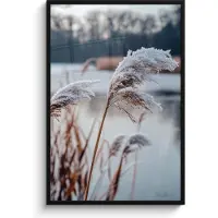 PosterMonkey Poster in lijst - Fotolijst 80x120 cm - Posters - Riet - Gras - Natuur - Winter - Meer - Posterlijst zwart - Decoratie - Wanddecoratie woonkamer - Muurdecoratie slaapkamer