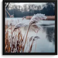PosterMonkey Poster in lijst - Fotolijst 40x40 cm - Posters - Riet - Gras - Natuur - Winter - Meer - Posterlijst zwart - Decoratie - Wanddecoratie woonkamer - Muurdecoratie slaapkamer