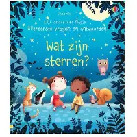 Usborne Wat zijn sterren? (Kartonboek)
