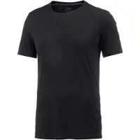 Icebreaker Functioneel shirt 'Anatomica' zwart