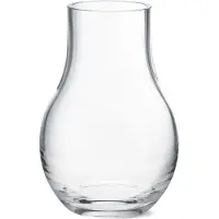 Georg Jensen Vaas Cafu Clear Small 21,6 cm