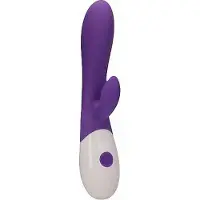 Erotic Treasure Rabbit Vibrator - Purple