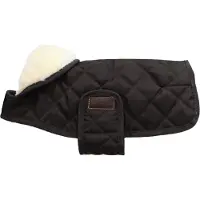 Kentucky Dog Coat Original