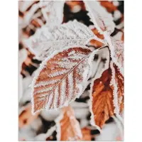 PosterMonkey Poster 60x80 cm - Bladeren - IJs - Winter - Natuur - Posters - Kamer decoratie - Wanddecoratie woonkamer - Muurdecoratie slaapkamer