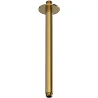 Hotbath ACE plafondarm 30cm messing geborsteld PVD