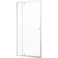 Sealskin - Douchedeur Contour 100 X 200cm - Geborsteld Staal Profiel - 6 Mm Helder Glas