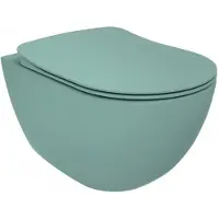 Boss & Wessing Wandcloset BWS Rimoff Ophang Toilet Zonder Bidet Nijl Groen