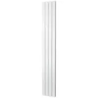 Boss & Wessing Designradiator covallina retta dubbel 1800x298 mm black graphite