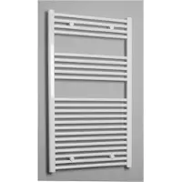 Sanicare Radiator Standaard Recht 533 Watt Inclusief Ophanging 60x111,8 cm Chroom