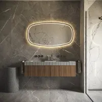 HiPP Spiegel design phantom 009 deens ovaal met frame mat zwart 120x70 cm met verlichting incl. Spiegelverwarming