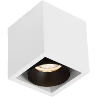Boss & Wessing Spot BWS Regina Aluminium 745Lm 9,2W Wit Met Zwarte Anti-Glare Ring