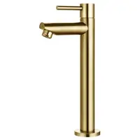 Sanilux Fonteinkraan mia hoge opbouw messing geborsteld goud