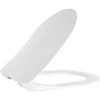Boss & Wessing Toiletzitting bws flat softclose met inox scharnieren mat wit