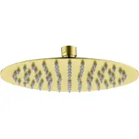Boss & Wessing Hoofddouche bws colorato rond 30 cm geborsteld goud