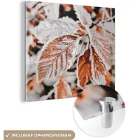 MuchoWow Glasschilderij 50x50 cm - Schilderij acrylglas - Bladeren - IJs - Winter - Natuur - Foto op glas - Muurdecoratie woonkamer - Wanddecoratie slaapkamer - Schilderijen