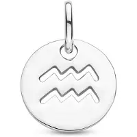 The Jewelry Collection Zilver Gerhodineerde Hanger sterrenbeeld waterman 1333705