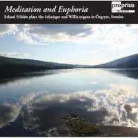 Import Meditation And Euphoria