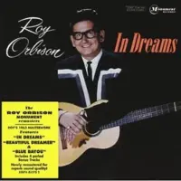 Bertus Distributie In Dreams