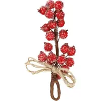 Springos Kersttak | Decoratie | Rood