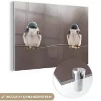 MuchoWow Glasschilderij 180x120 cm - Schilderij acrylglas - Vogels - Dieren - Draad - Portret - Foto op glas - Muurdecoratie woonkamer - Wanddecoratie slaapkamer - Schilderijen