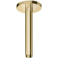 Hotbath Plafondbuis cobber rond 15 cm geborsteld messing pvd