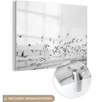 MuchoWow Glasschilderij 80x60 cm - Schilderij acrylglas - Zee - Vogels - Natuur - Zeemeeuwen - Foto op glas - Muurdecoratie woonkamer - Wanddecoratie slaapkamer - Schilderijen