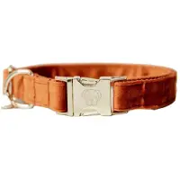 Kentucky Dogwear - Hondenhalsband - Velvet - Oranje - 25-38 cm - XS - Hondenriem