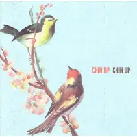 Bertus Distributie Chin Up Chin Up