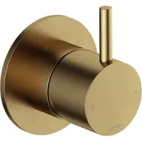 Hotbath Cobber Afbouwdeel Douchemengkraan Geborsteld Messing CB131
