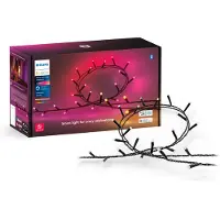 Philips Hue Festavia lichtsnoer - 20 meter - 250 LEDs