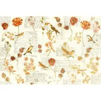 Architects Paper Fotobehang Atelier 47 Bird Poetry 1 (4-delig)