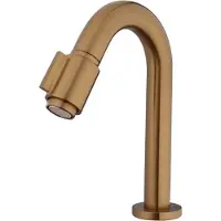 Boss & Wessing Fonteinkraan BWS Karsten Luxe 1/2" Geborsteld Brons Koper