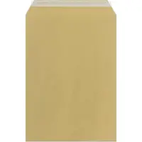 Raadhuis akte envelop - 229x324mm - C4 - kraft - met plakstrip - 250 stuks - RD-303598