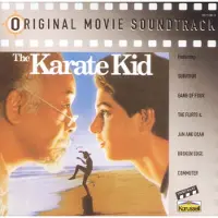 Bertus Distributie Karate Kid