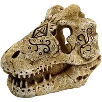 Superfish Aquarium Decoratie T-Rex Schedel S 8 X 6 X 6 Cm