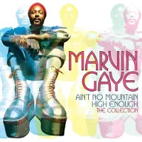Import Ain't No Mountain High Enough: The Collection