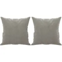 vidaXL Sierkussens 2 st 40x40 cm fluweel lichtgrijs