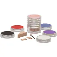 PanPastel Soft Pastel Pans 250.1 Diarylide Yellow Extra Dark