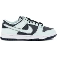 Nike Dunk Low Retro Premium Schoenen