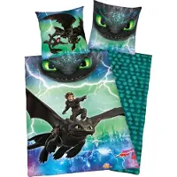 Herding How To Train Your Dragon Beddengoedset 135x200 Cm