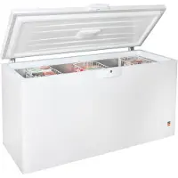 Beko Diepvriezer Koffer HSM46740