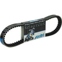 Polini 248.031.3 Transmissie Riem