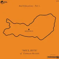 Import BAD EDUCATION/LP