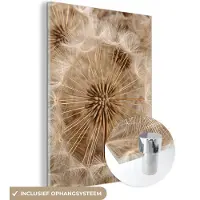 MuchoWow Glasschilderij 120x160 cm - Schilderij acrylglas - Paardenbloem - Bloemen - Natuur - Bruin - Foto op glas - Muurdecoratie woonkamer - Wanddecoratie slaapkamer - Schilderijen