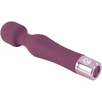 Walzvital Mini Wand Massager Perfect Reisformaat
