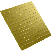 Boss & Wessing Inbouw douchekop bws mia 30x30 cm geborsteld goud